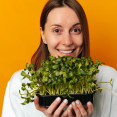 Mikrozelenina alebo microgreens – ako si doma pestovať túto vitamínovú bombu?